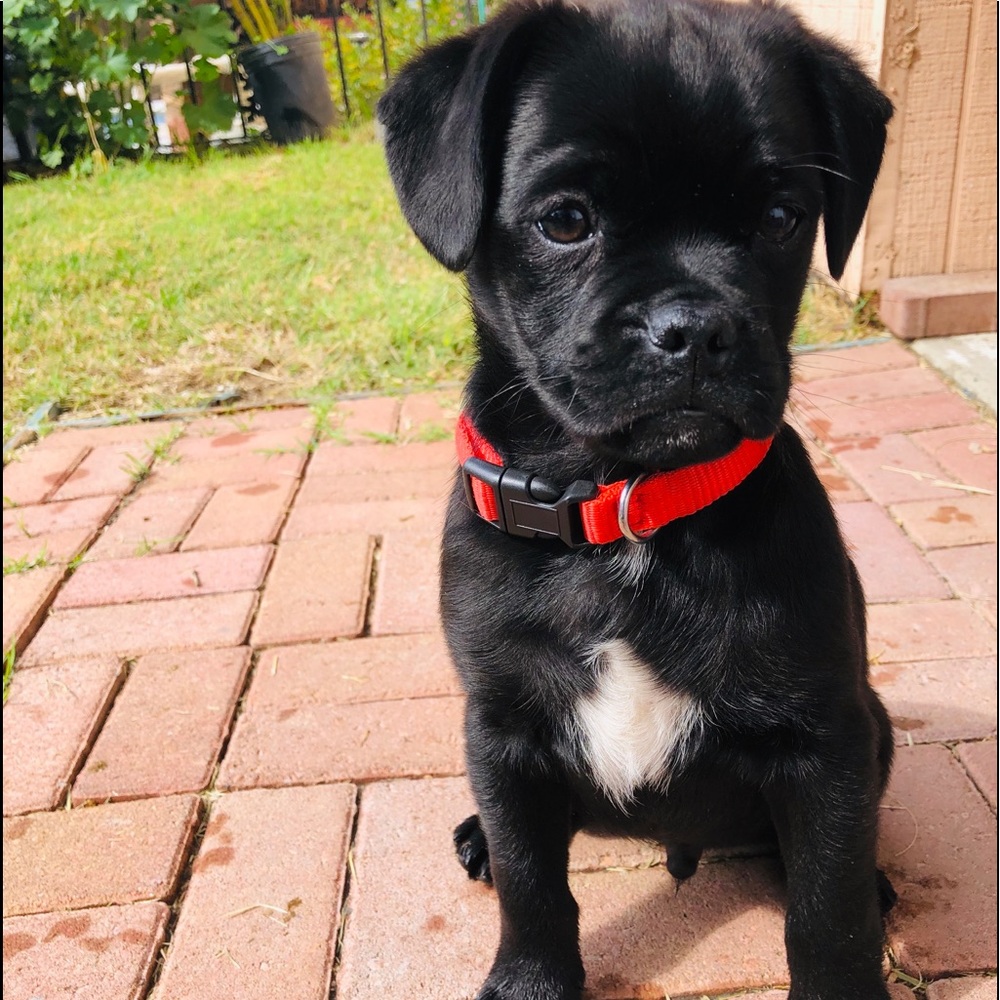 Meet your Posher, Ramiro